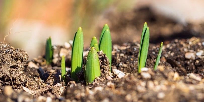 Дивидендный сезон 2026: чего ждать от российских компаний и когда ждать выплат до 2 трлн рублей