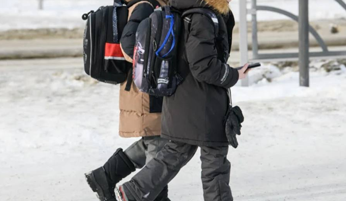 В России запускают массовый мониторинг соцсетей школьников: что это значит