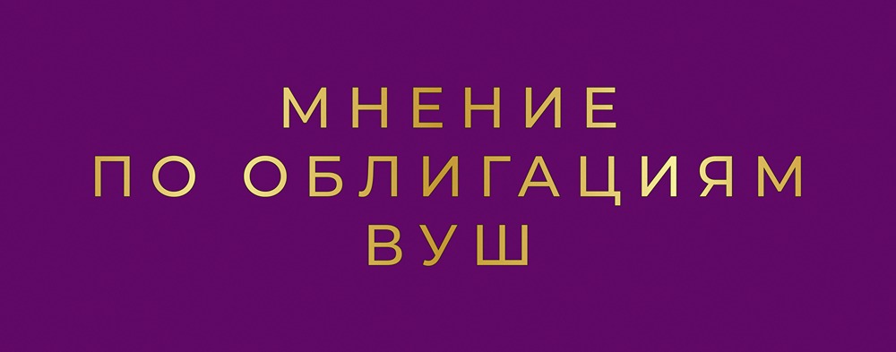 ВУШ: стоит ли гнаться за доходностью 30% в облигациях?