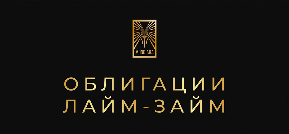 Размещение облигаций микрофинансового рынка: анализ выпуска ЛаймЗайм