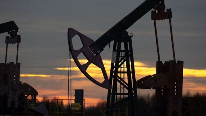 Страны Персидского залива потеряли $15 млрд экспортных доходов с начала войны