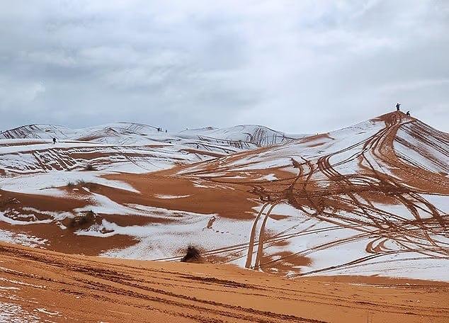Чудо природы: впервые за десятилетия в Сахаре выпал снег