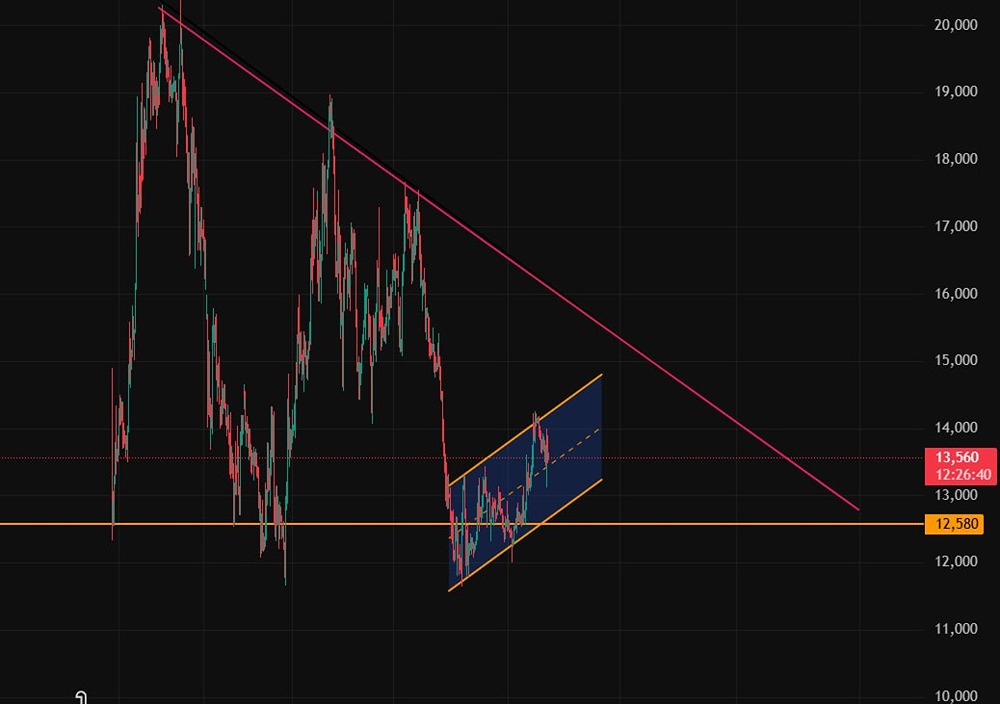 Стоит ли ждать дивидендов по акциям Совкомбанка в 2026 году