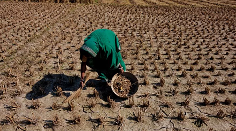Мировой продовольственный кризис «уже на носу»