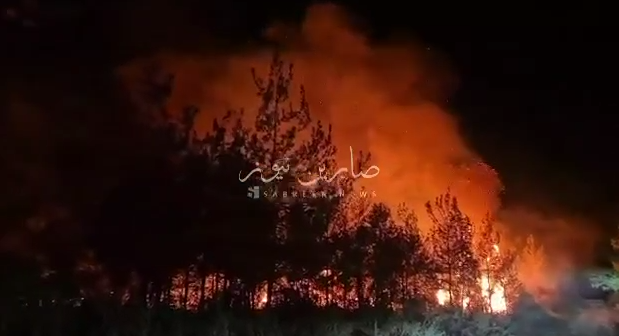 Масштабная ракетная атака «Хезболлы»: что известно о жертвах в Израиле