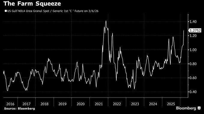 Соотношение цены удобрений и кукурузы означает огромные проблемы для будущего урожая