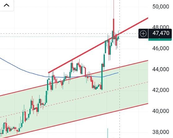 Сургутнефтегаз‑преф: стоит ли покупать на отскоке от 46 руб.лей?