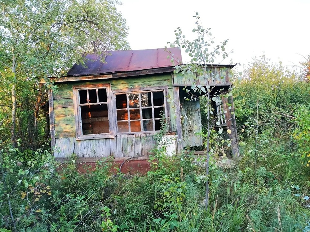 Как не лишиться дачи до 2027 года: 3 главных правила освоения участка