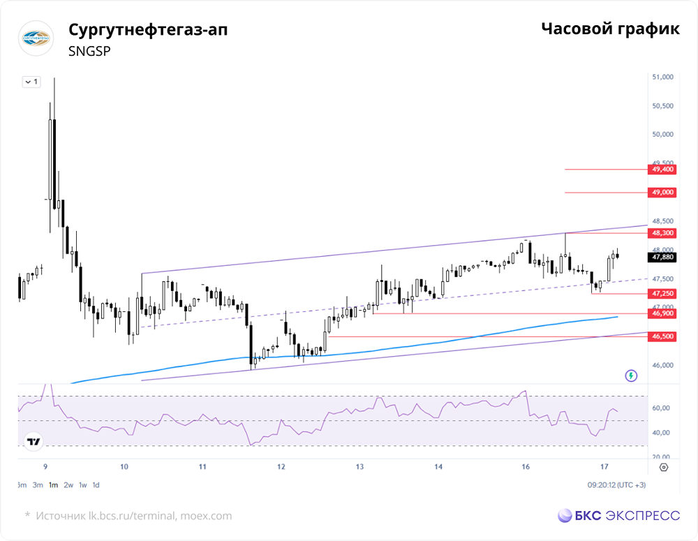 Почему акции «Сургутнефтегаза» подешевели — разбираем причины?