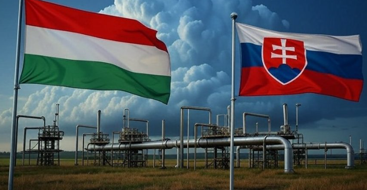 Венгрия без российской нефти: Хорватия поставила условие