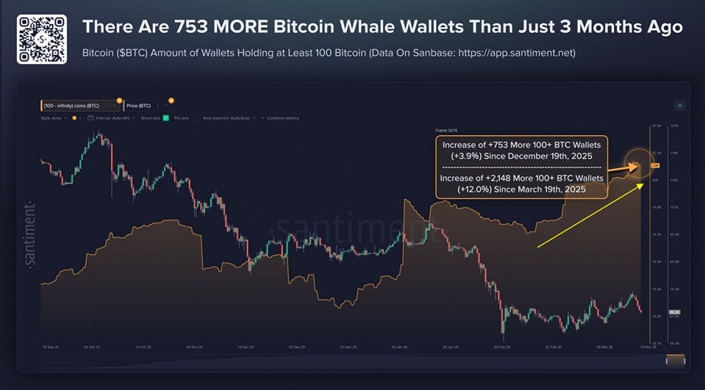 Уже третий месяц подряд киты с балансами кошельков 100+ BTC продолжают покупать