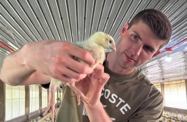 Прощай, банк! Канадец начал новую жизнь с разведения кур