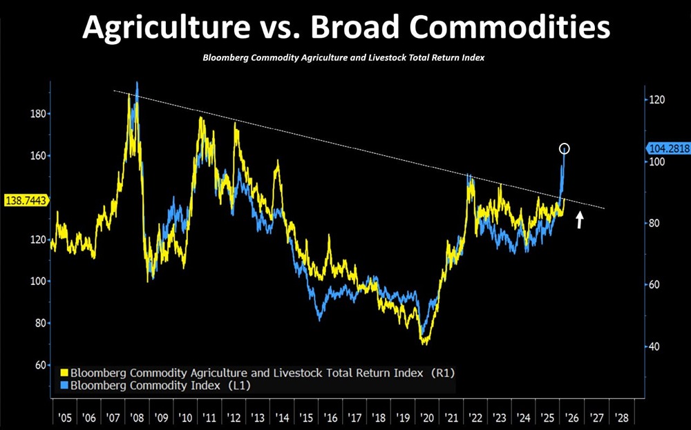 Сельхозпродукция дорожает: факторы роста цен и прогноз на год