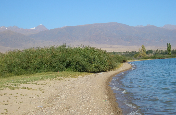 От Дубая к Тамчы: куда движется капитал после удара по Ирану?