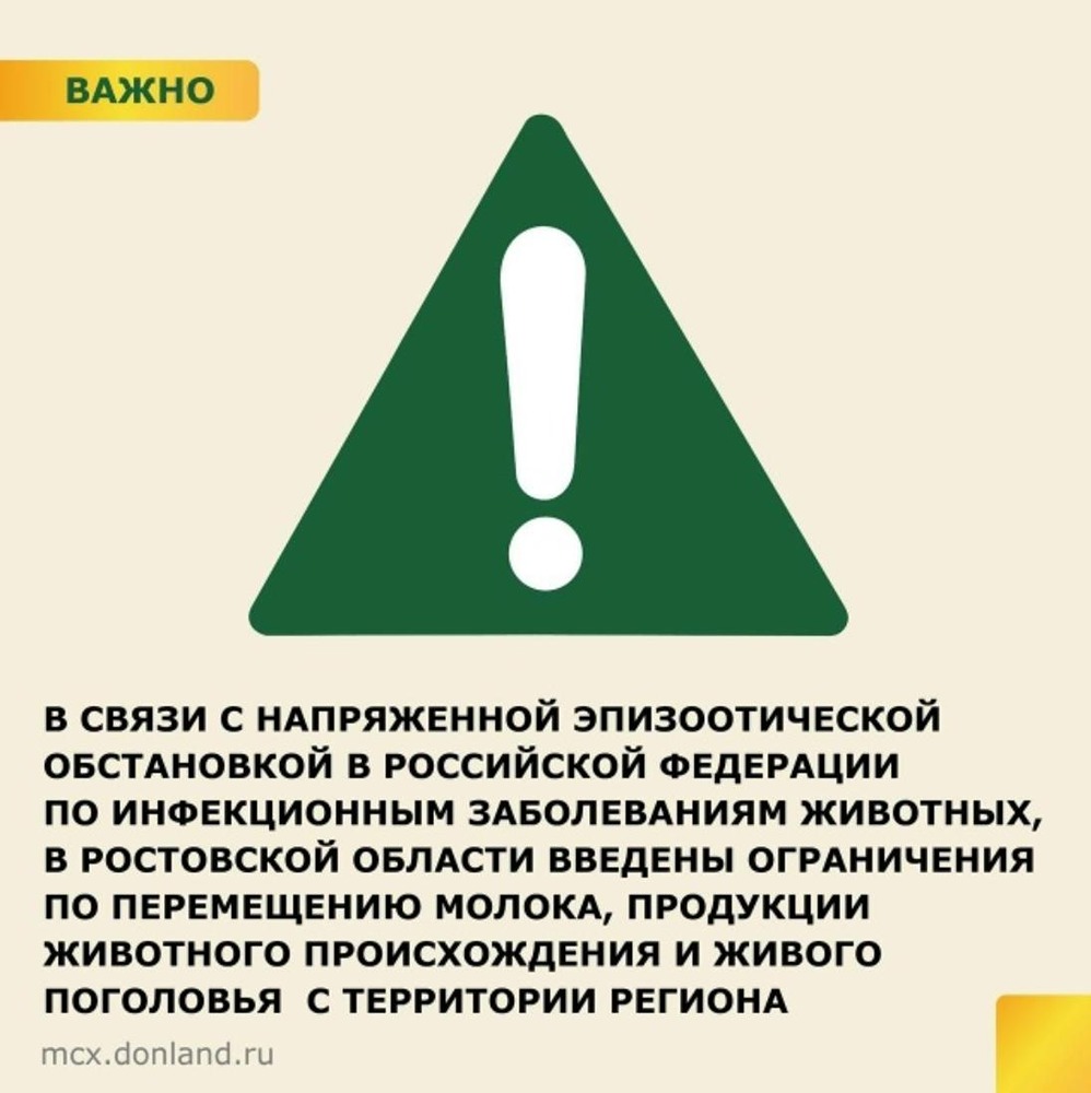 Эпизоотия бьёт по рынку: Ростов ограничил вывоз молока и скота