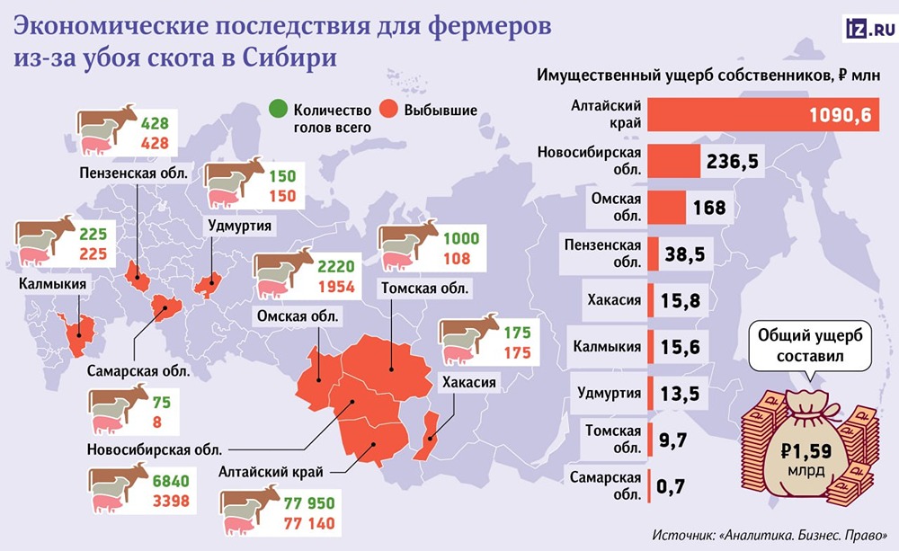 Беда на фермах: бешенство охватило 10 регионов России