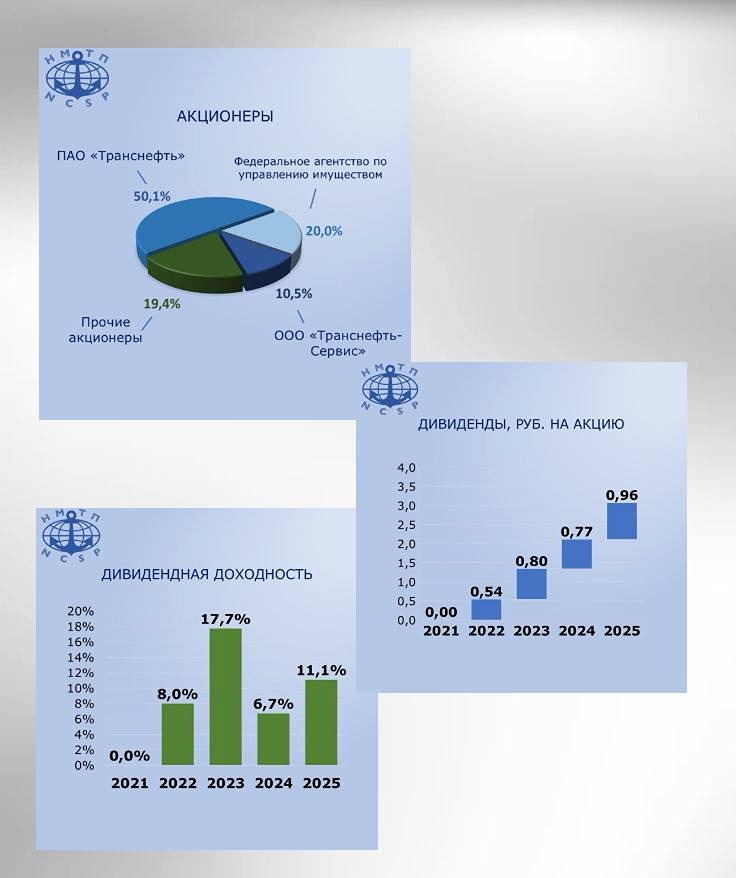 Золотая акция государства: что это значит для акционеров НМТП?