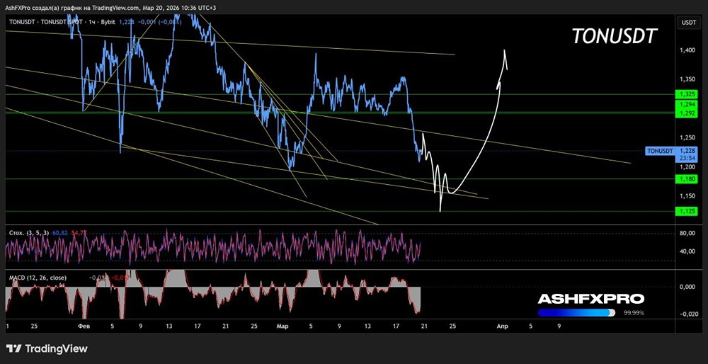 Еще немного, еще чуть-чуть. И TON полетит вверх
