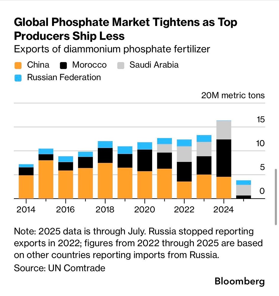 Миру грозит колоссальный продовольственный кризис
