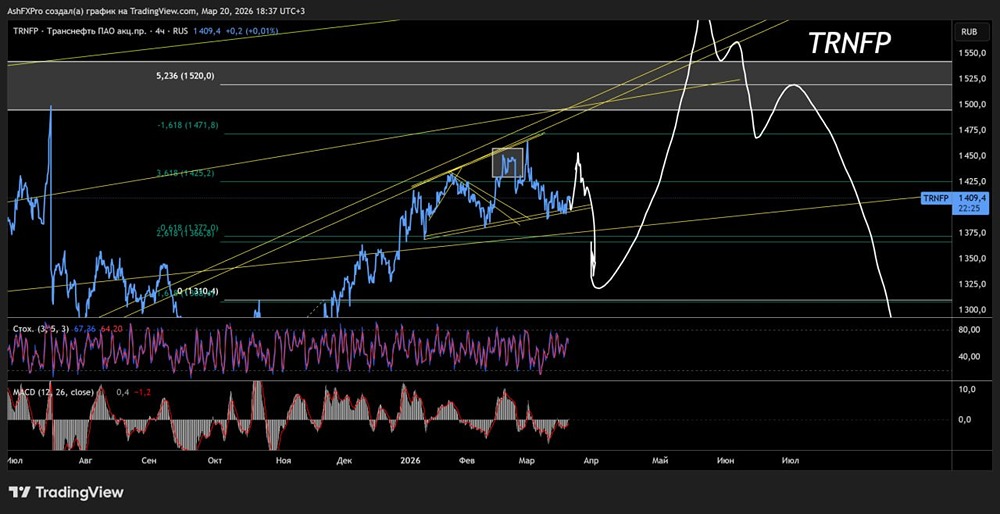 Не спешите тратиться на «Транснефть»: акции сначала вниз, а вот после ту-зе-мун