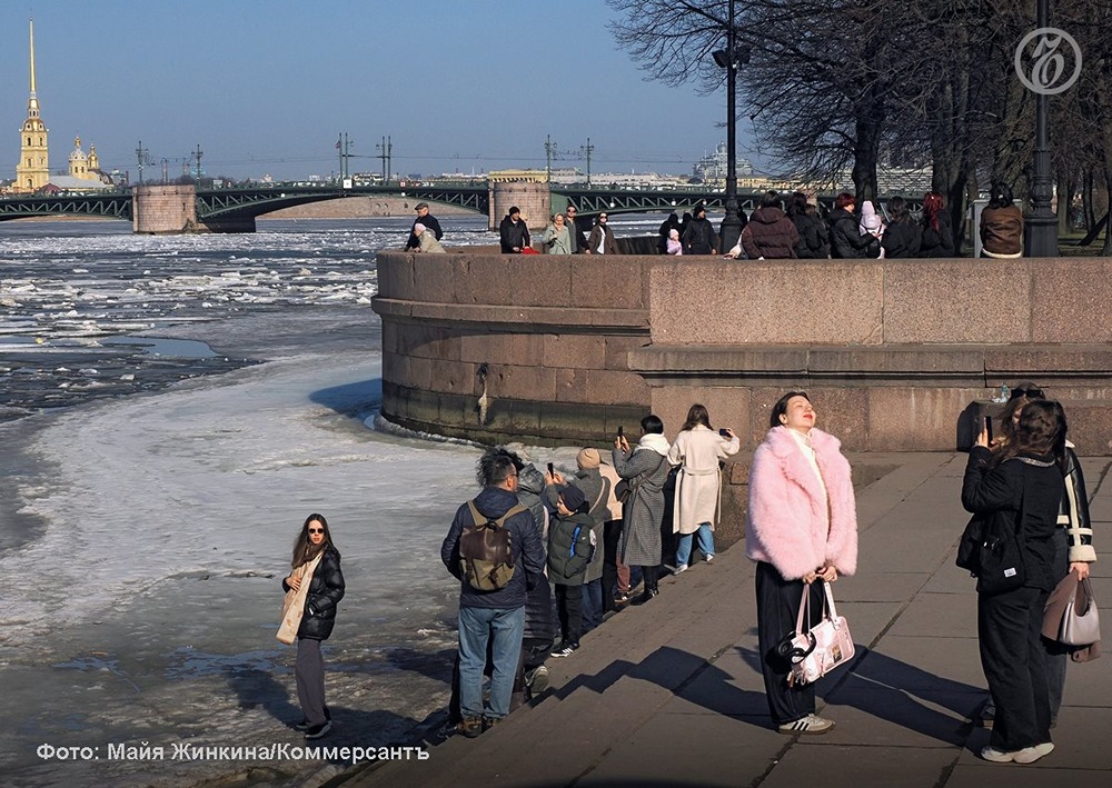 Спрос на витамин D в России вырос: продано 10,4 млн упаковок за сезон