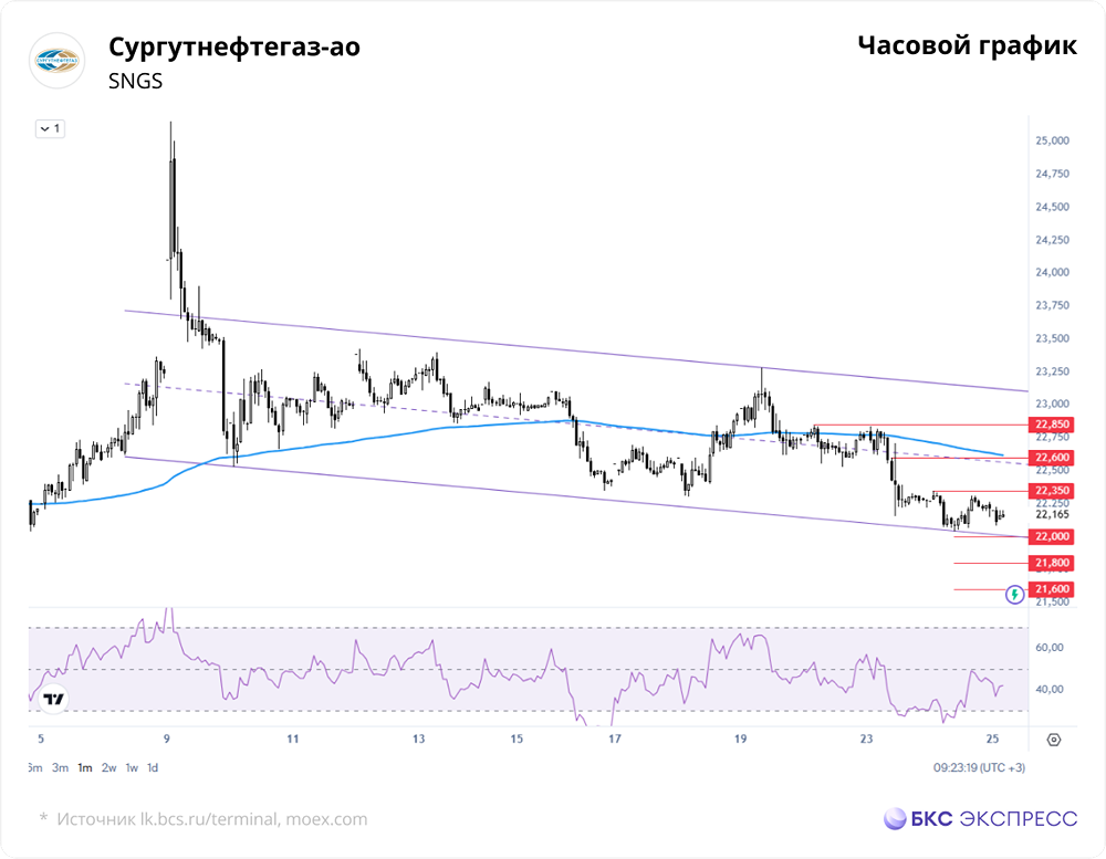 Почему акции «Сургутнефтегаза» падают: разбираем причины и перспективы?