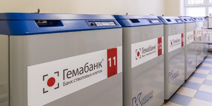 ММЦБ по итогам 2025 года увеличил выручку на 8% до 376,7 млн рублей