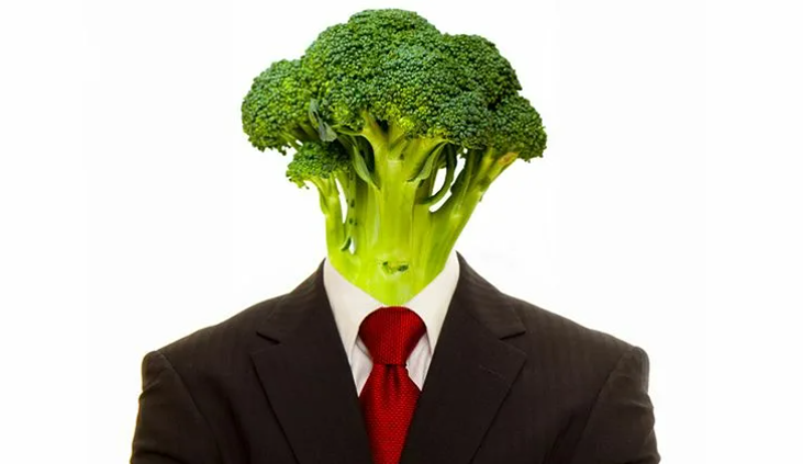 Цифровая лоботомия: как рилсы убивают мышление