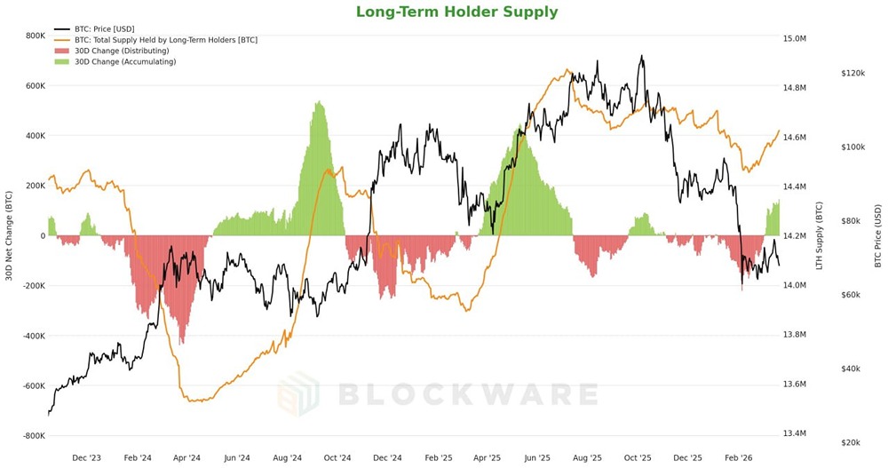 170 000 биткоинов — именно столько средств накопили долгосрочные держатели за последние 30 дней
