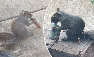 Что происходит с белками, которые «парят» как люди?