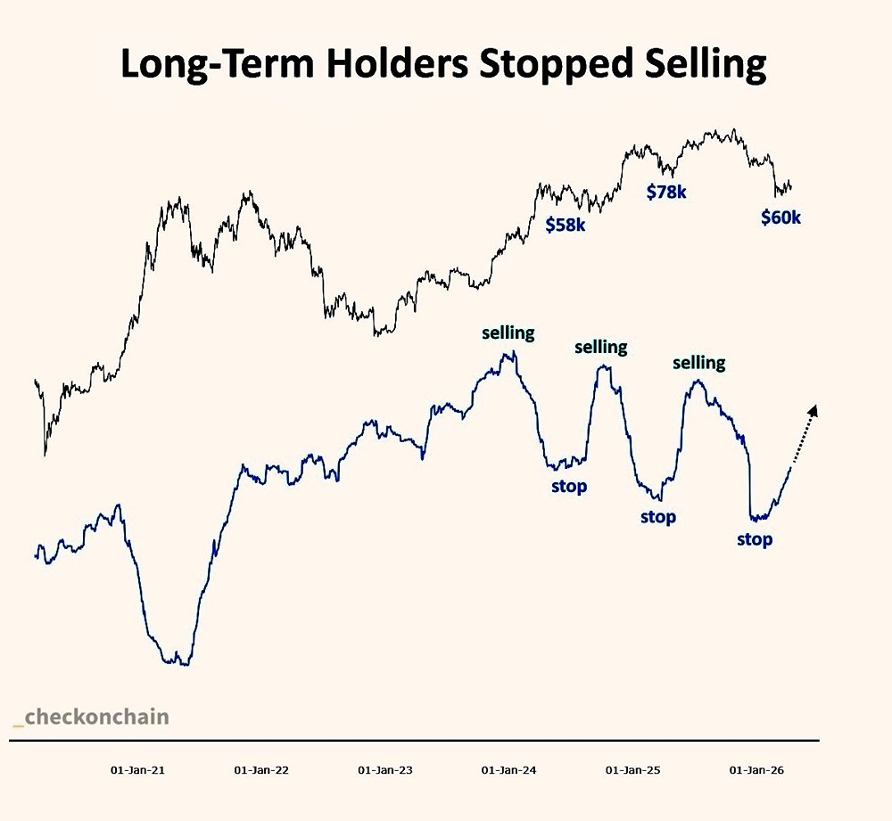 Долгосрочные держатели перестали продавать биткоин и перешли к покупкам