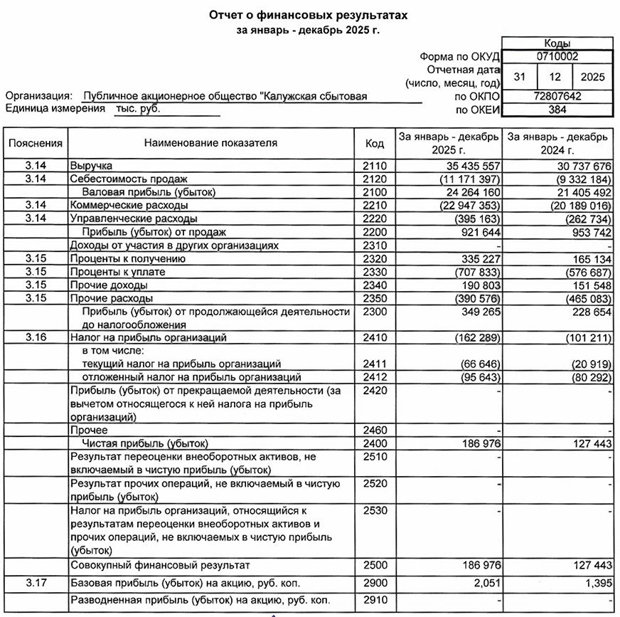 Калужская сбытовая компания РСБУ за 2025 год