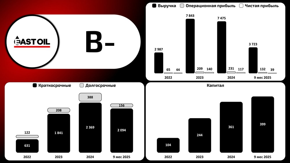 Падение прибыли, но рост капитала: разгадываем финансы «Восток‑Ойл»
