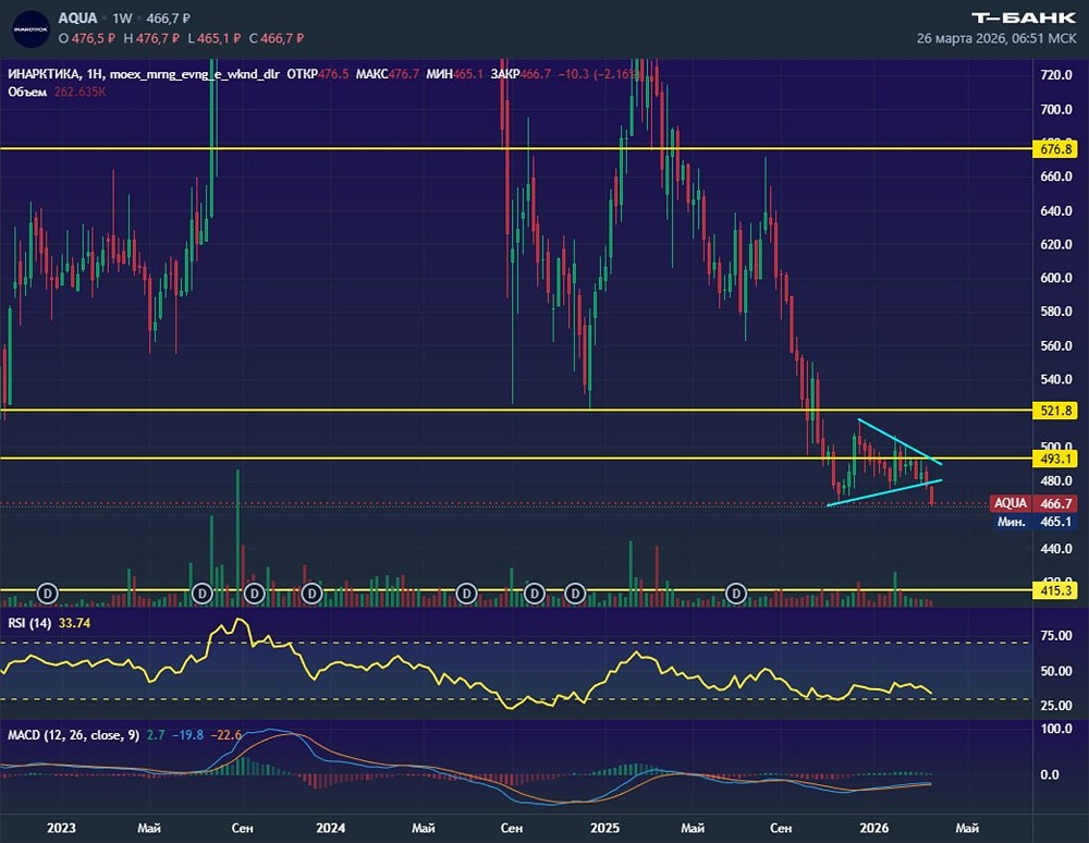 Отскок или падение? Что будет с акциями Инарктики?