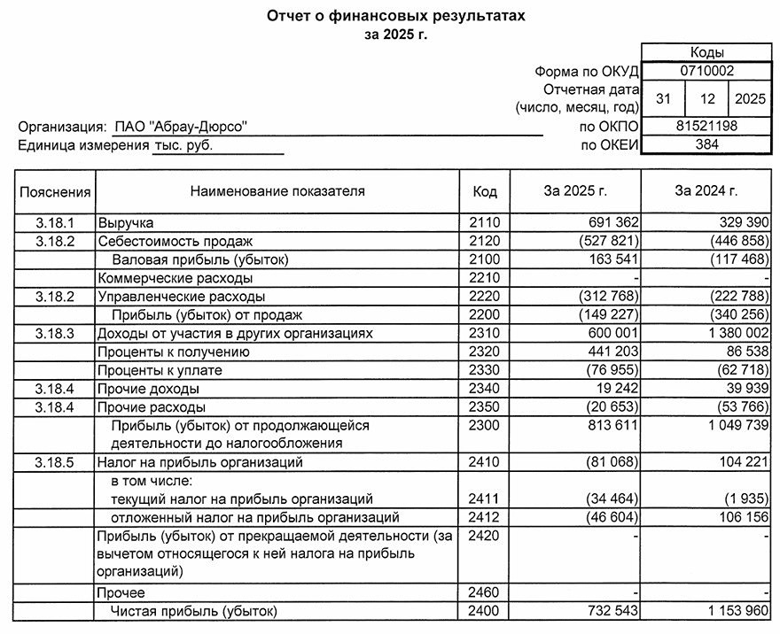 Абрау-Дюрсо РСБУ 2025 год