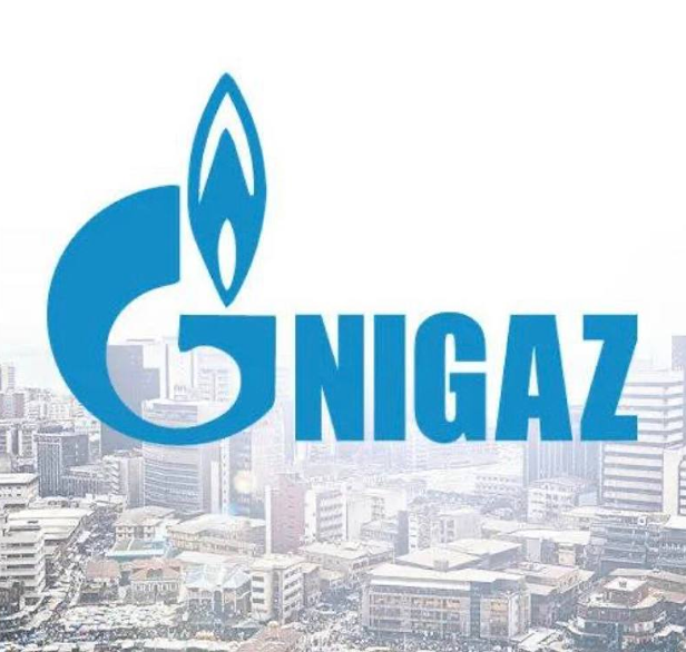 Россиян шокировало название бывшей «дочки» «Газпрома» в Нигерии