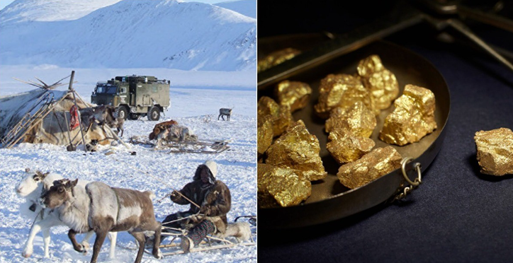 Золото Чукотки на продажу: 22 перспективных участка ждут инвесторов