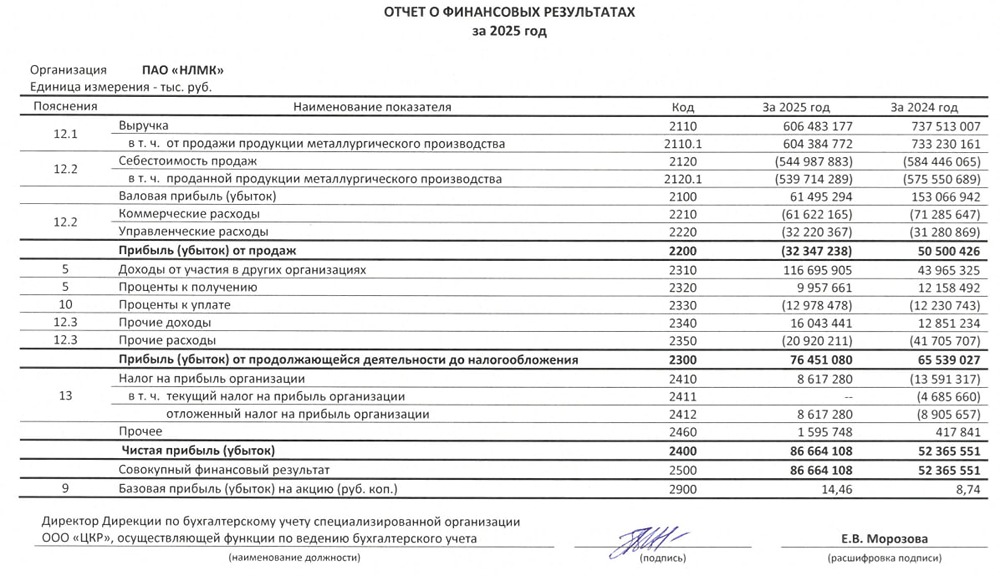 НЛМК РСБУ за 2025 год
