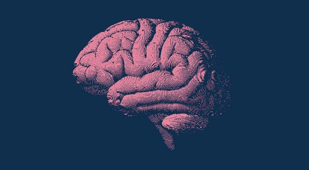 Как остановить старение мозга?