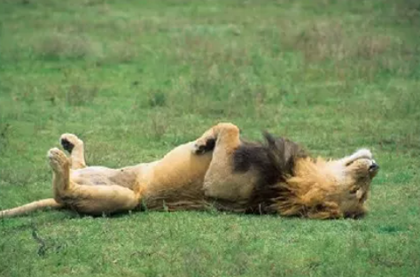 Неожиданная правда: почему безделье ≠ отдых