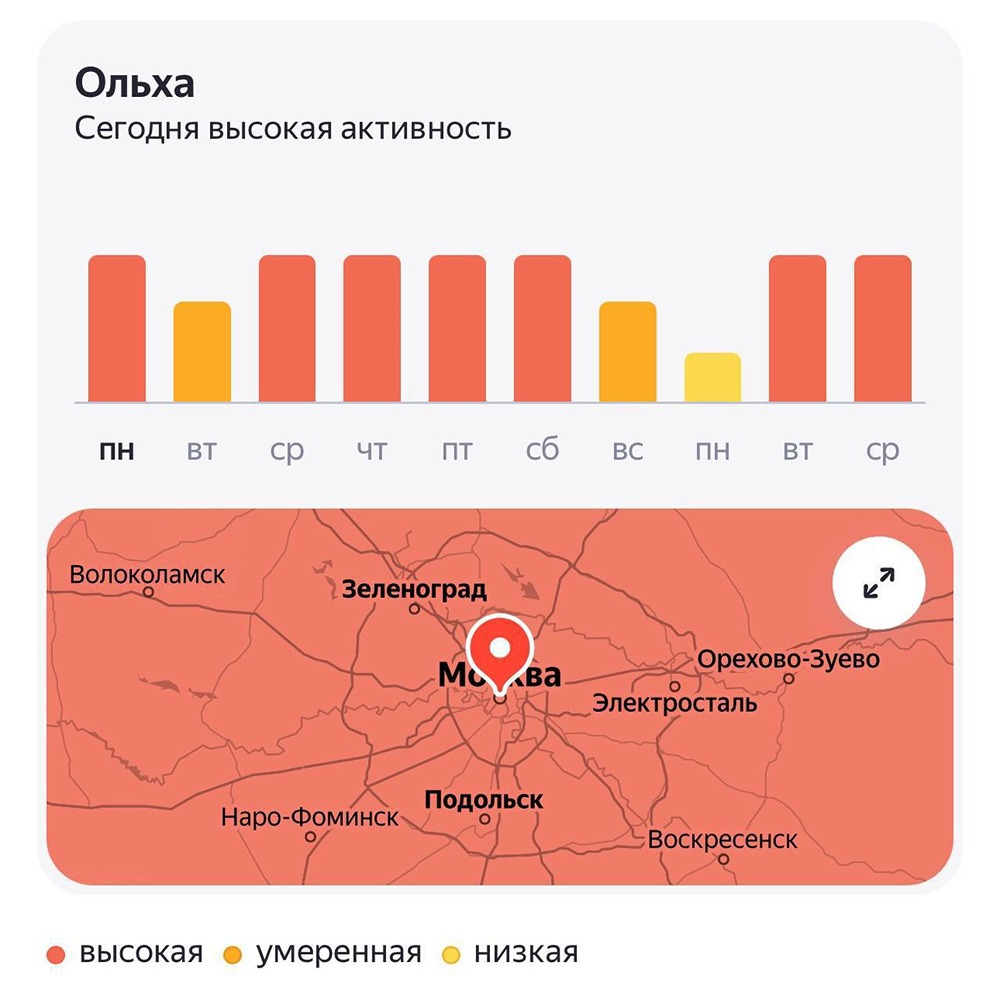 В Москве начался ад для аллергиков