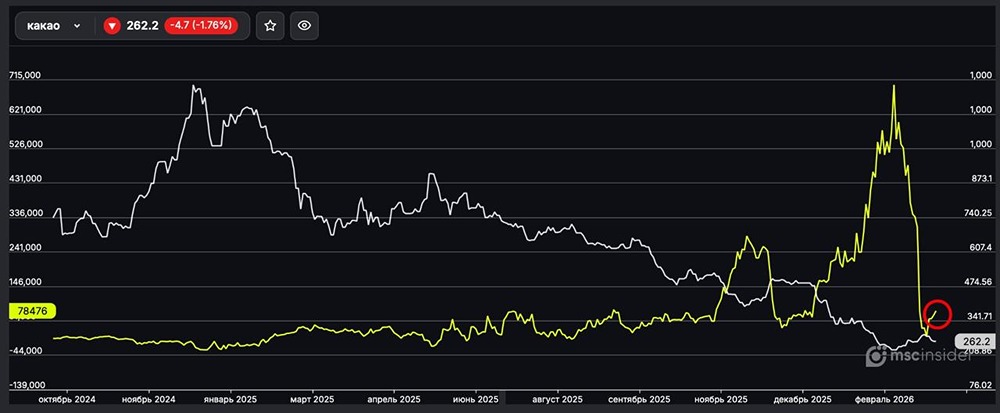 Какао: физлица постепенно наращивают чистый лонг