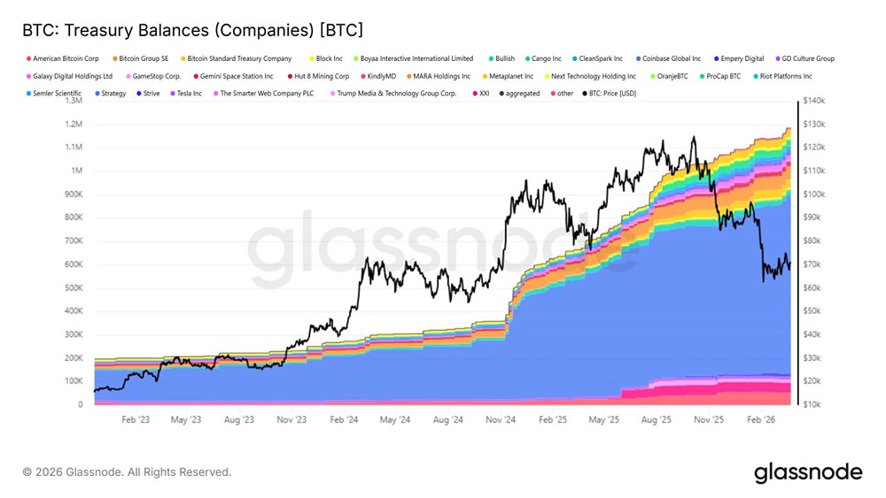 Общий баланс биткоин-казначейских компаний продолжает расти