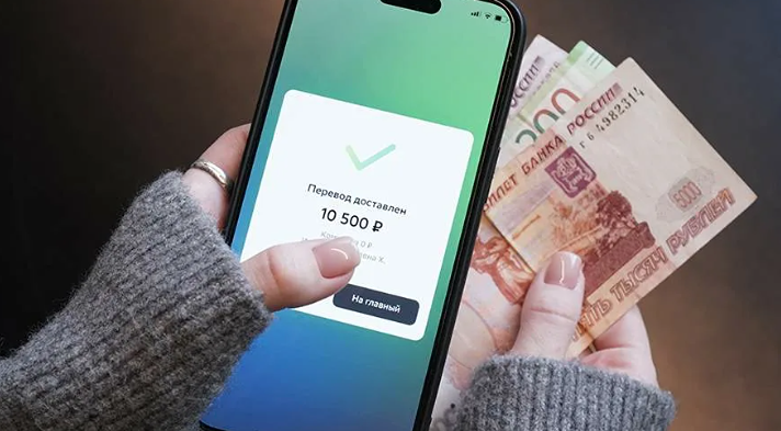 Сколько скрытых доходов найдут через СБП в России — прогноз на 2027 год?