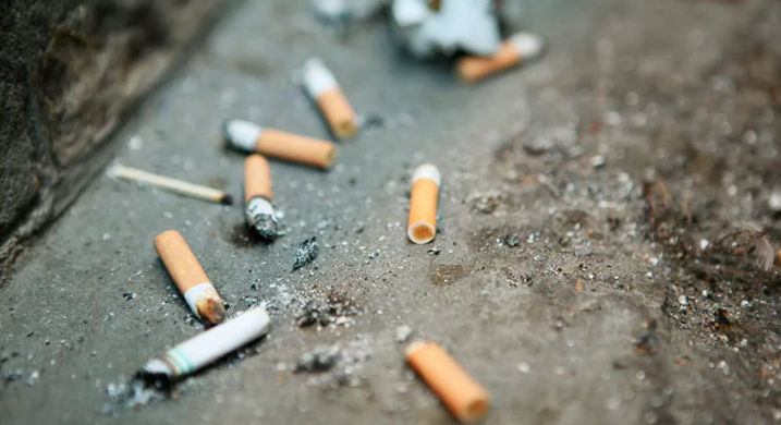 Штраф за окурки, выброшенные из окон, могут поднять до 50 тысяч рублей