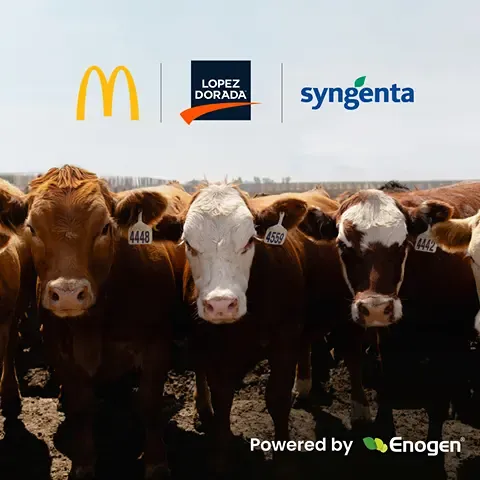 McDonald’s USA, Syngenta и Lopez Foods сотрудничают, чтобы сделать производство говядины в США более экологичным