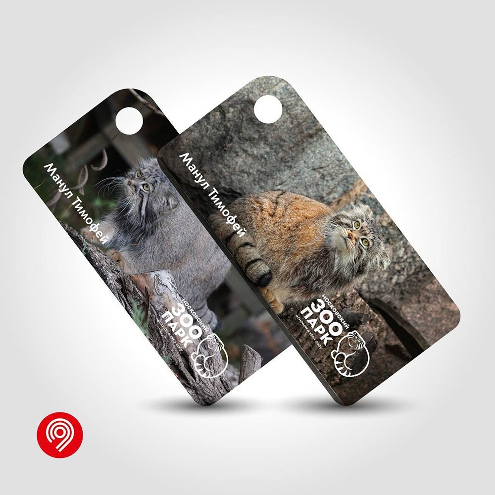 Московский транспорт порадовал любителей животных: в продажу поступили брелоки с изображением нашего знаменитого манула Тимоши