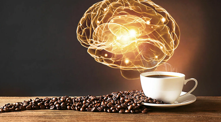 Больше, чем бодрость: кофеин запускает восстановление нейронных связей