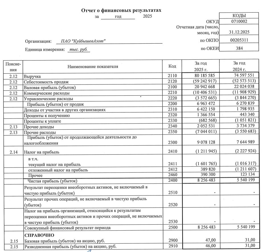 КуйбышевАзот РСБУ за 2025 год
