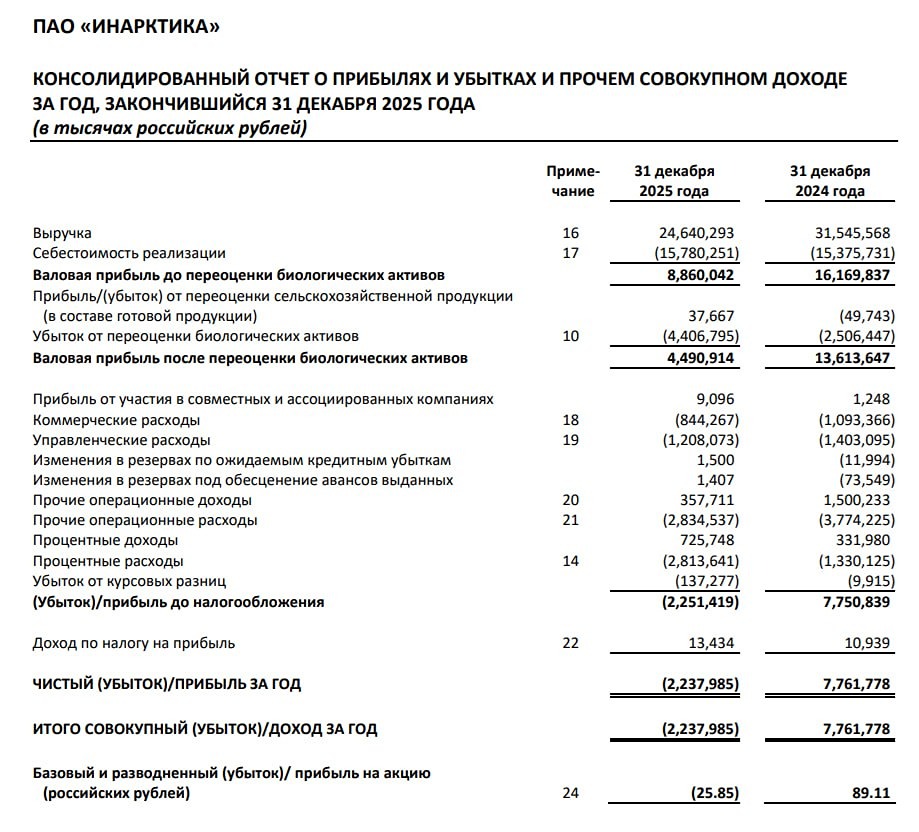 Инарктика МСФО за 2025 год